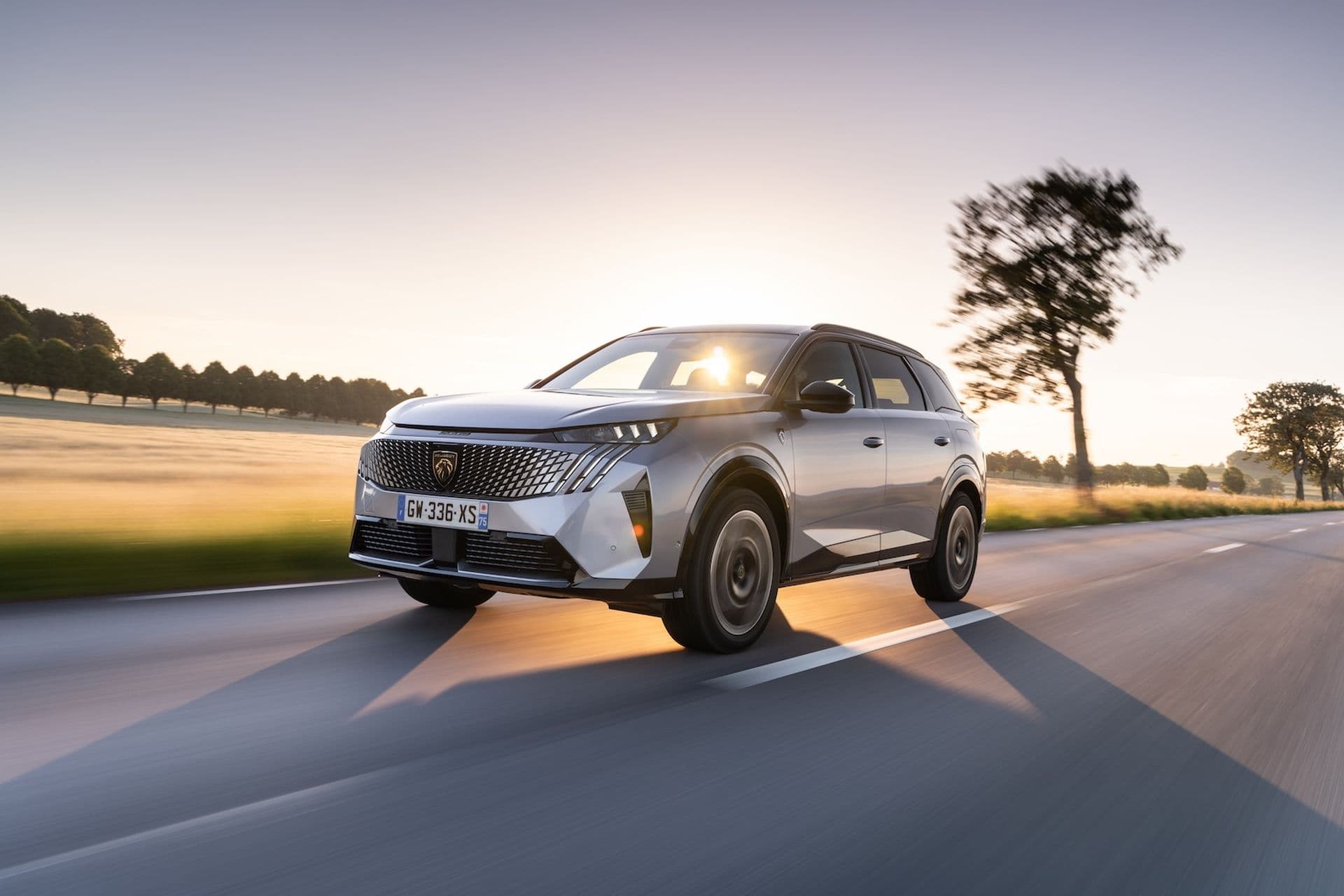 Cover Image for Peugeot-Chefin fordert europaweite Unterstützung für Elektroautos
