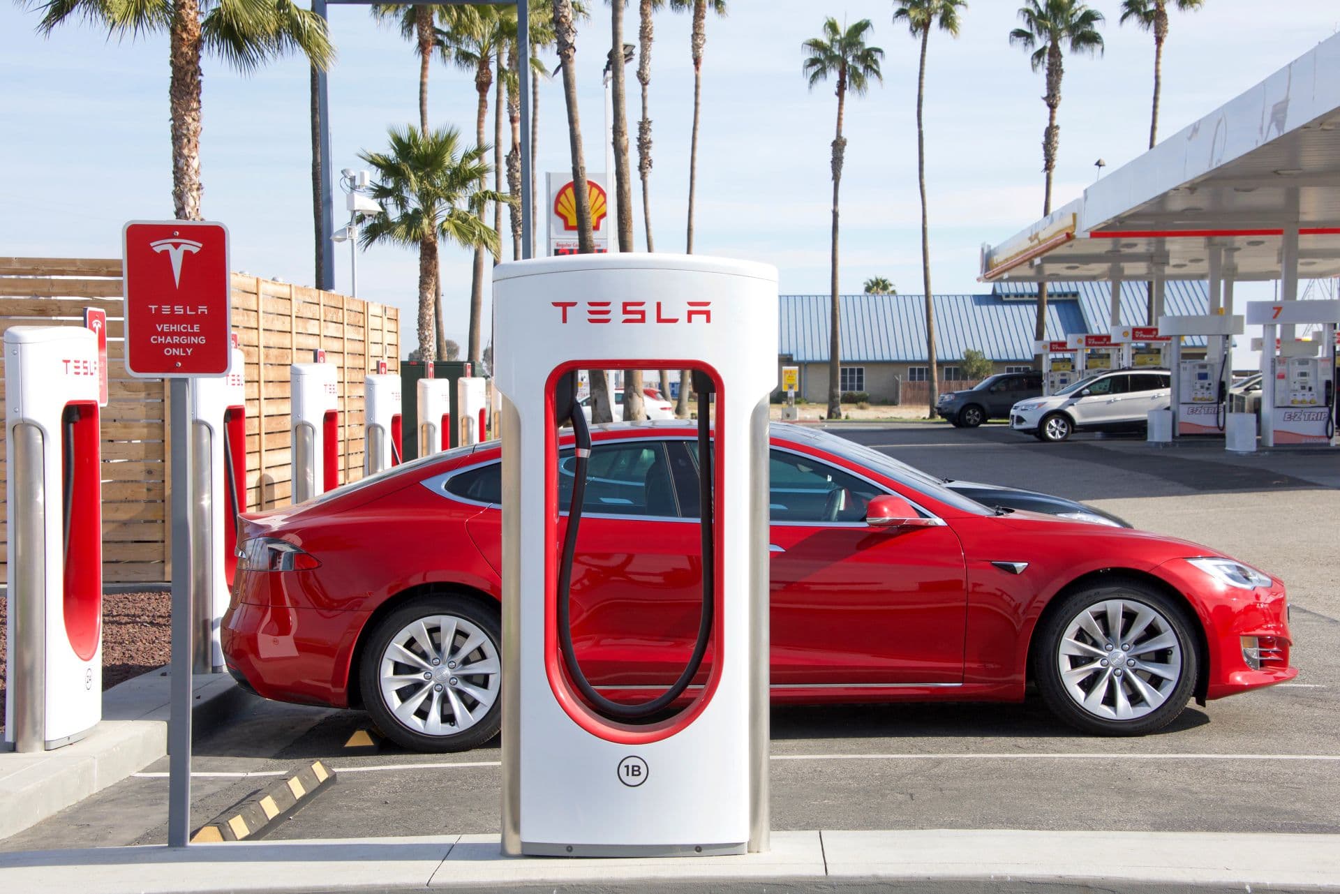 Cover Image for Diese 7 E-Autos waren 2024 weltweit am beliebtesten
